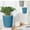 A5348 christmas decorations under 5$, variant on Self Watering Planter under $5! Cagogo Automatic Self-Watering Flowerpot, Plastic Circular Plant Pot with Water Reservoir, Indoor Outdoor Planter for House Plants