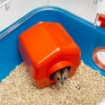 thumbnail image 4 of Ferplast Combi 2 Starter Hamster Cage, IncludesWater Bottle, Feeding Bowl, and Cozy House, 31.3L x 11.61W x 10.35H Inches, Blue, 4 of 8