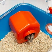 Ferplast Combi 2 Starter Hamster Cage, IncludesWater Bottle, Feeding Bowl, and Cozy House, 31.3L x 11.61W x 10.35H Inches, Blue
