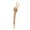 A, variant on Dserhfy Halloween Skeleton Stake Decoration Realistic Skeleton Bones Design Easy to Install Creepy Hand Arm with Lawn Stakes