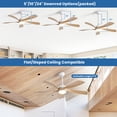thumbnail image 6 of Sofucor 52 Inch Ceiling Fans with Lights and Remote, Outdoor Ceiling Fan with Light 6-Speed 3 CCT 3-Timer, Modern Low Profile Ceiling Fan 5 Blade Reversible DC Motor for Living Room Bedroom Patio, 6 of 12