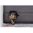 thumbnail image 4 of Porte pour Chat pour Animaux – Rabat Verrouillable à 4 Voies - pour Portes Intérieures et Extérieures, 4 of 5