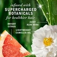 thumbnail image 3 of Revitalisant Herbal Essences Volume et corps au pamplemousse, 400 mL, 3 of 13