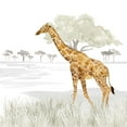 thumbnail image 2 of Reed, Tara 26x26 White Modern Wood Framed Museum Art Print Titled - Serengeti Giraffe Square, 2 of 4