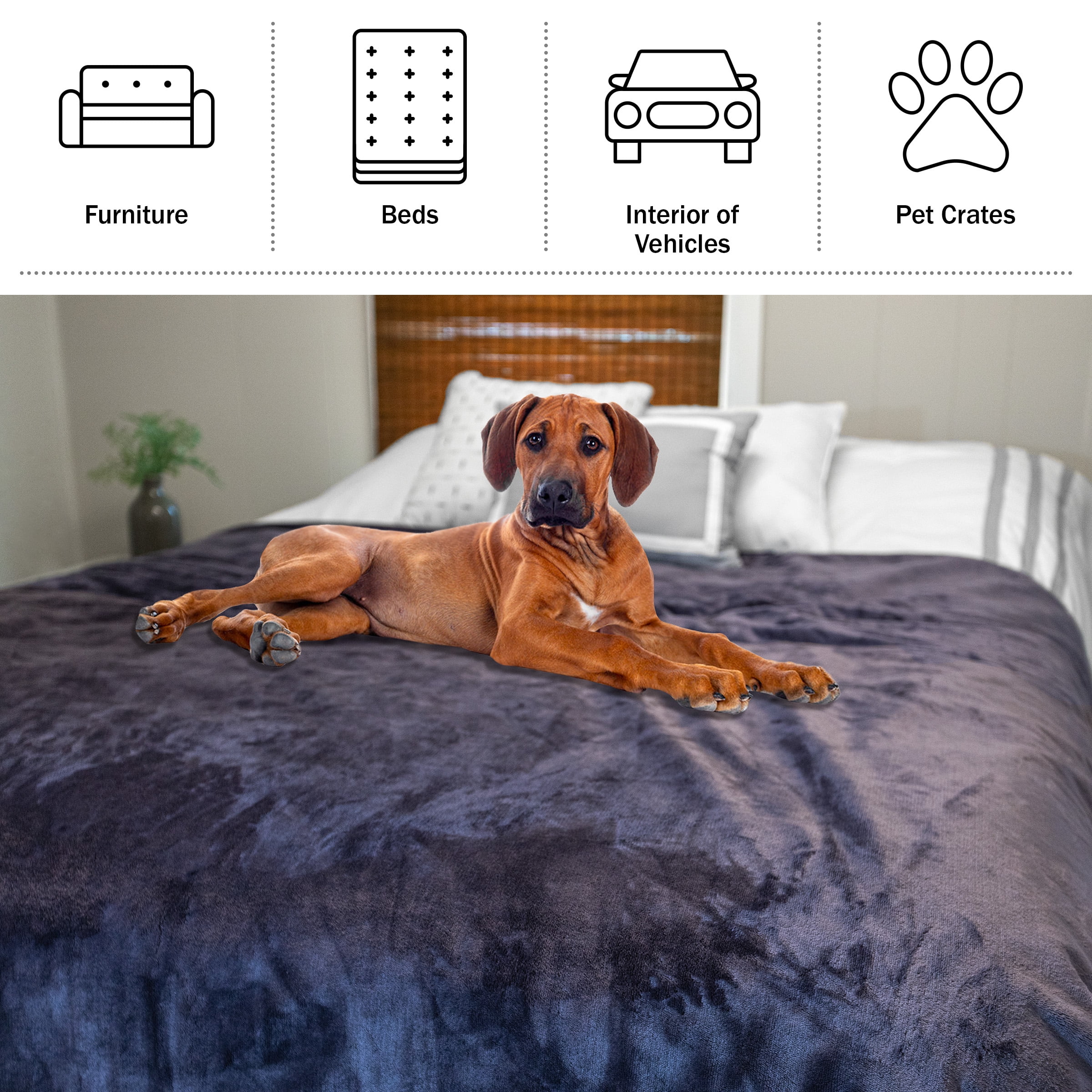 Lavish Home 80x80 King Size Waterproof Throw Blanket for Kids, Pets, and Outdoors (Purple)