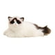 thumbnail image 3 of Figuras de gatitos y gatos de peluche acurrucados, adornos para manualidades, decoración abrazable para el hogar, animales de peluche encantadores, 3 of 9