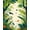 Green, Pattern 3, variant on ODIKA 4'x6' Machine Washable Non-Slip Area Rug, Dino Delight Round Fun Play High Traffic Rug, Green, 85278