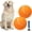 Green and Orange, variant on 9.5" Large Tennis Balls (2-Pack), Inflatable with Pump