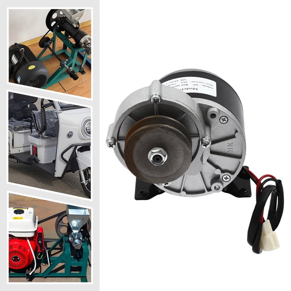 250W Modern Free Standing Gear Electric Motor Gear Motor Brushed Reduction Motor w/ Belt Pulley 36VDC