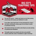 thumbnail image 6 of (2 pack) Catchmaster Mouse & Insect - 12 Glue Trays - Professional Strength Glue Traps - Non-Toxic & Easy to Use, 6 of 9