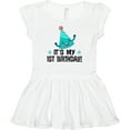 thumbnail image 3 of Inktastic 1st Birthday 1 Year Old Girls Baby Dress, 3 of 5