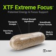 thumbnail image 2 of Suplemento Procera XTF Study Aid para la función cognitiva, 40 unidades, 2 of 8