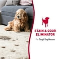 thumbnail image 4 of Nature's Miracle Dog Stain and Odor Remover Foam Aerosol, Citrus Scent, 17.5 Ounce, 4 of 10