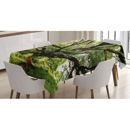 Monkey Pod (Nature Tablecloth, The Largest Monkey Pod Tree in Thailand Eastern Green Big Branches Growth Eco Photo, Rectangular Table Cover for Dining Room Kitchen, 60 X 84 Inches, Green Brown, by)