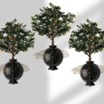 thumbnail image 3 of Dispositivo de enraizamiento de plántulas de plantas, cría asexual, bola, poda a gran altura, corte de raíces, injerto, tecnología de cerco, control de raíces en el hogar, 3 of 4