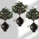 thumbnail image 3 of Dispositivo de enraizamiento de plántulas de plantas, cría asexual, bola, poda a gran altura, corte de raíces, injerto, tecnología de cerco, control de raíces en el hogar, 3 of 4
