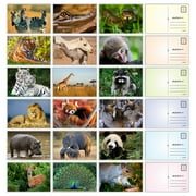 Wild Animal Postcards - (Pack of 54) 4"x6" Bulk Variety of Forest Jungle Safari Creatures with Mailing Side - all Occasion Cards