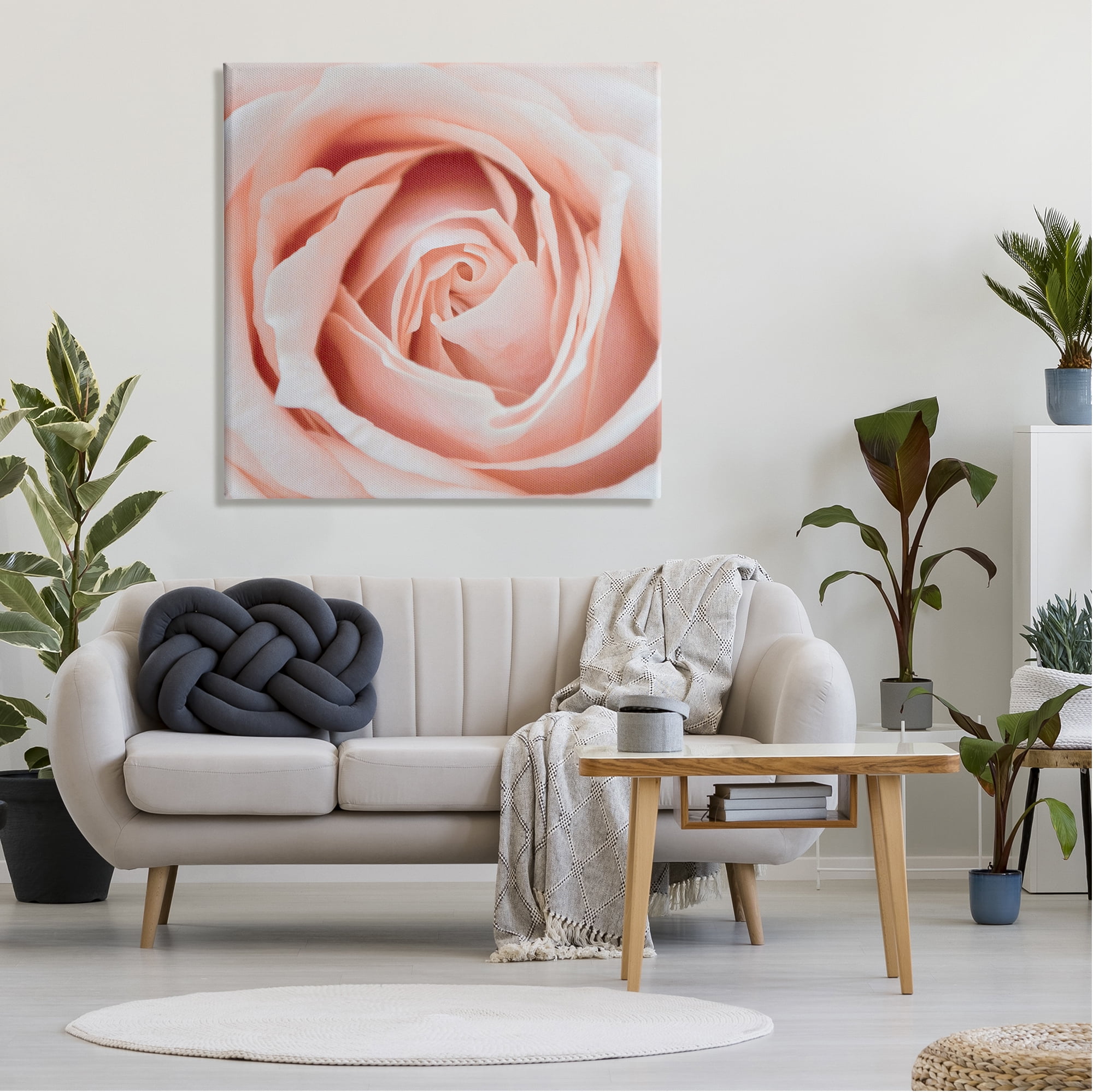 Stupell Industries Pink Close Up Rose Botanical & Floral Photography Gallery Wrapped Canvas Print Wall Art, 36 x 36
