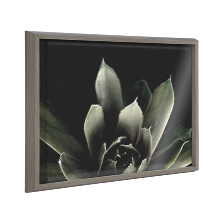 Kate and Laurel Blake Salutation Framed Printed Glass Wall Art by Emiko and Mark Franzen of F2Images, 18x24 Gray, Dramatic Dark Botanical Plant Art for Wall