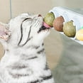 thumbnail image 3 of Mint Pumpkin Cat Toy Catnip Edible Licking Ball Natural Nealth Rotatable Kitten Chewing Tooth Cleaning Toy, 3 of 6