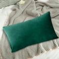 thumbnail image 4 of Darzheoy Throw Pillow Cover Rectangle Velvet Green Cushion for Sofa Bed Decor Soft Home Decorative Pillow Case 30x50 Inches, 4 of 6