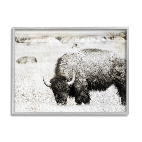 Stupell Industries Farmland Country Bison Bull Grazing Pasture Monochrome Framed Wall Art, 20 x 16, Design by Daniel Sproul