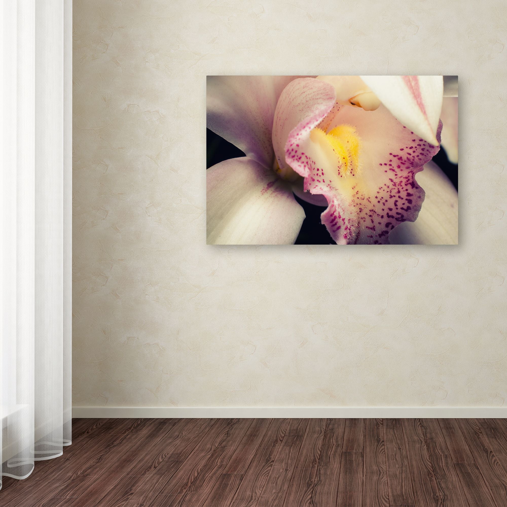 Close-Up of Orchid' Canvas Art by PIPA Fine Art