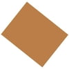 Coated Poster Board, 22" x 28", Brown, Pack of 25