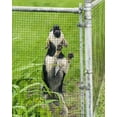 thumbnail image 5 of Cloth 1/4 Inch, Chicken Wire Fencing 23 Gauge, Galvanized Wire Mesh Roll, Raised Garden Bed Supports Wire Mesh Fence - Prevent Snakes, Raccoons, Foxes, 5 of 6