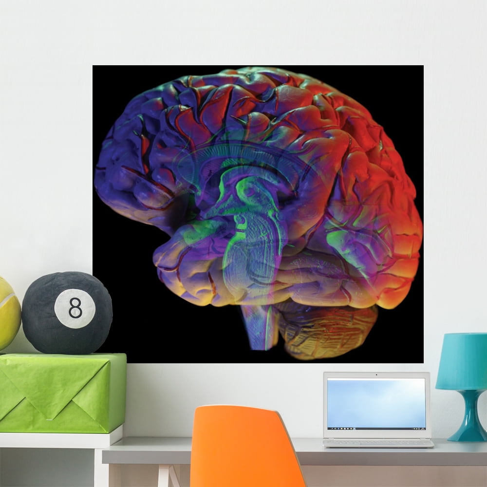 Brain Black Wall Mural by Wallmonkeys Peel and Stick Graphic (36 in W x ...