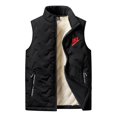 thumbnail image 4 of Chaleco de plumón sin mangas para hombre y mujer, chaqueta cálida y versátil con cuello levantado, novedad de otoño e invierno, 2024, 4 of 5