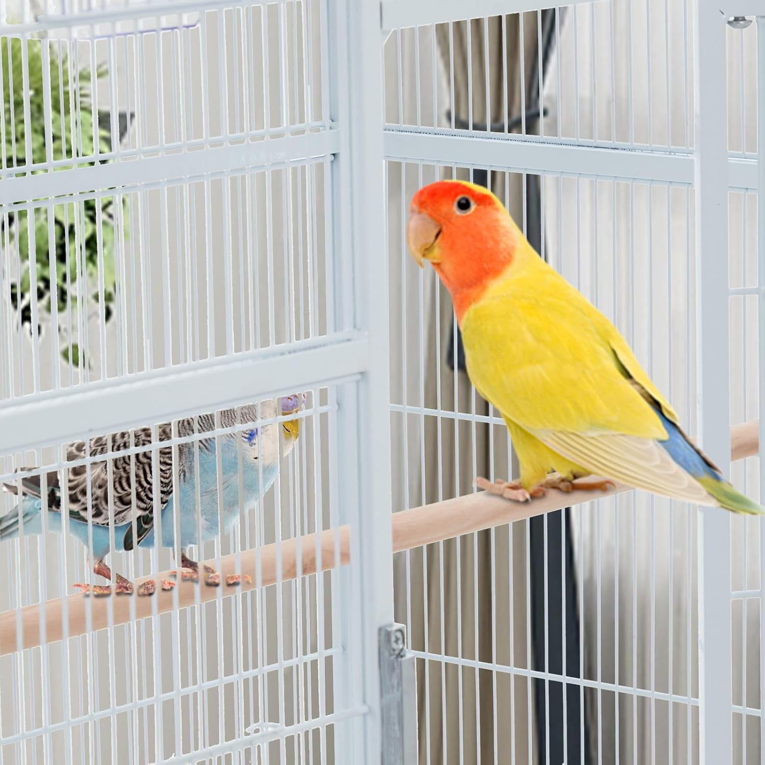 Extra Large Bird Cage,Metal Pet Cage with Detachable Stand for Many Bird Species