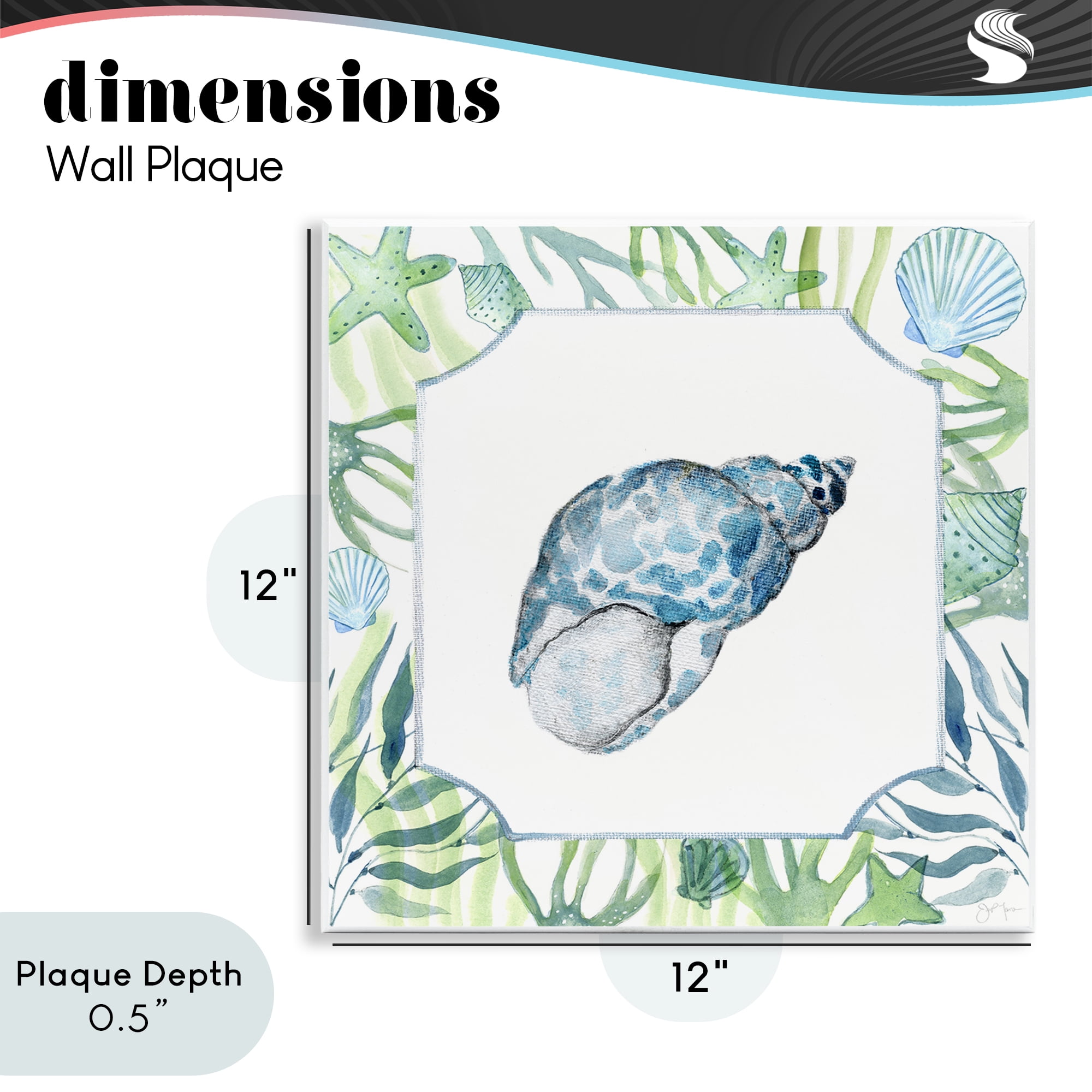 Stupell Industries Spotted Cowrie with Seaweed Wall Plaque Art, design by Janet Tava