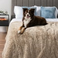 thumbnail image 6 of PetAmi Waterproof Dog Blanket for Small Medium Dogs, Calming Fleece Cat Blanket, Couch Protector Washable Sherpa Faux Fur Pet Throw for Puppy, Soft Reversible 29x40 Taupe, 6 of 8
