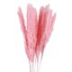 thumbnail image 1 of Matsuzay 15 Pieces Small Dried Flower Wedding Anniversary Decoration Bedroom Birthday Celebration Props Engagement Dormitory Kits de decoración para fiestas Numero 5, 1 of 6