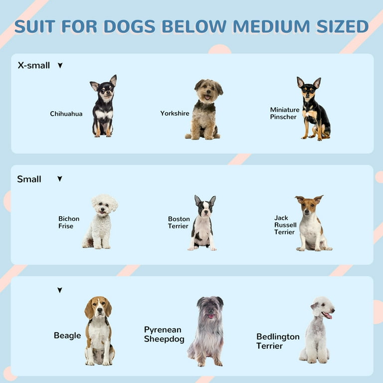 Smart offers medium sized dog breeds