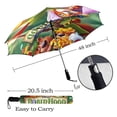 thumbnail image 5 of Robin Hood Parapluie Pliable Semi-Automatique, 5 of 5