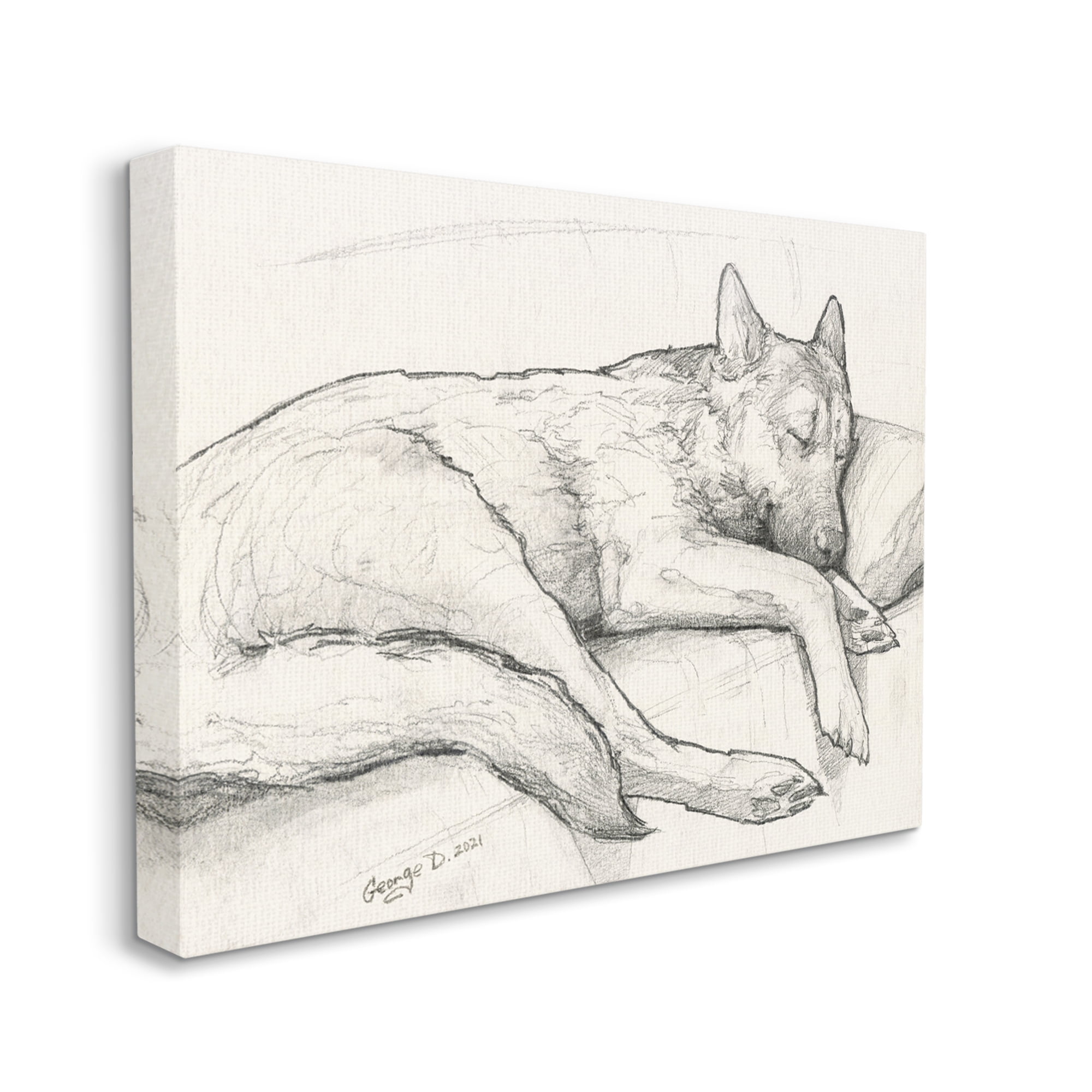 Stupell Industries Dog Curled Up Resting Detailed Graphite Pencil Drawing Drawing Print Gallery Wrapped Canvas Print Wall Art, Design by George Dyachenko