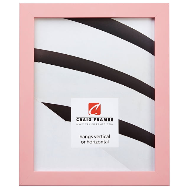 Craig Frames Confetti Modern Light Pink Picture Frame 8 x 10 Inch