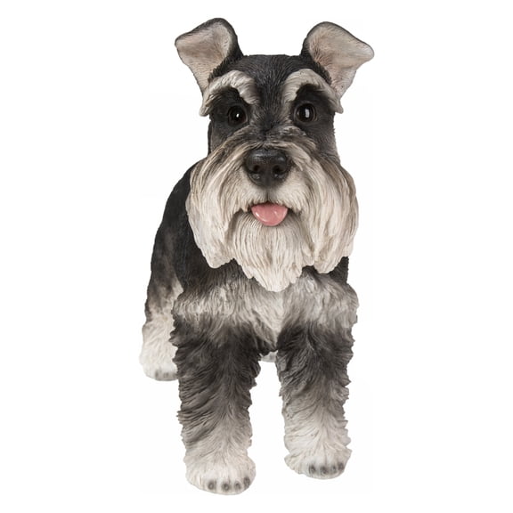 Hi-Line Gift 8” Miniature Schnauzer Garden Statue, Durable Polyresin