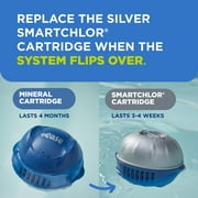 FROG @ease Floating Sanitizing System plus FROG @ease SmartChlor Cartridge 3 Pack, Set