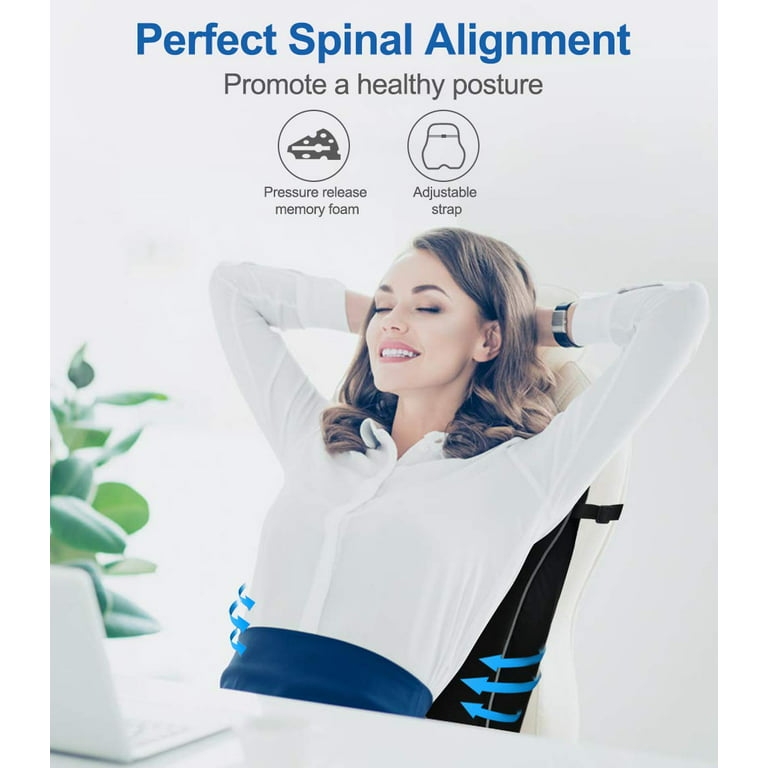 Lumbar Support Pillow for Office Chair Car Lumbar Pillow, Memory Foam Back  Cushion with Breathable 3D Mesh Lumbar Support Orthopedic Backrest for Lower  Back Pain Relief Ergonomic Orthopedic Backrest