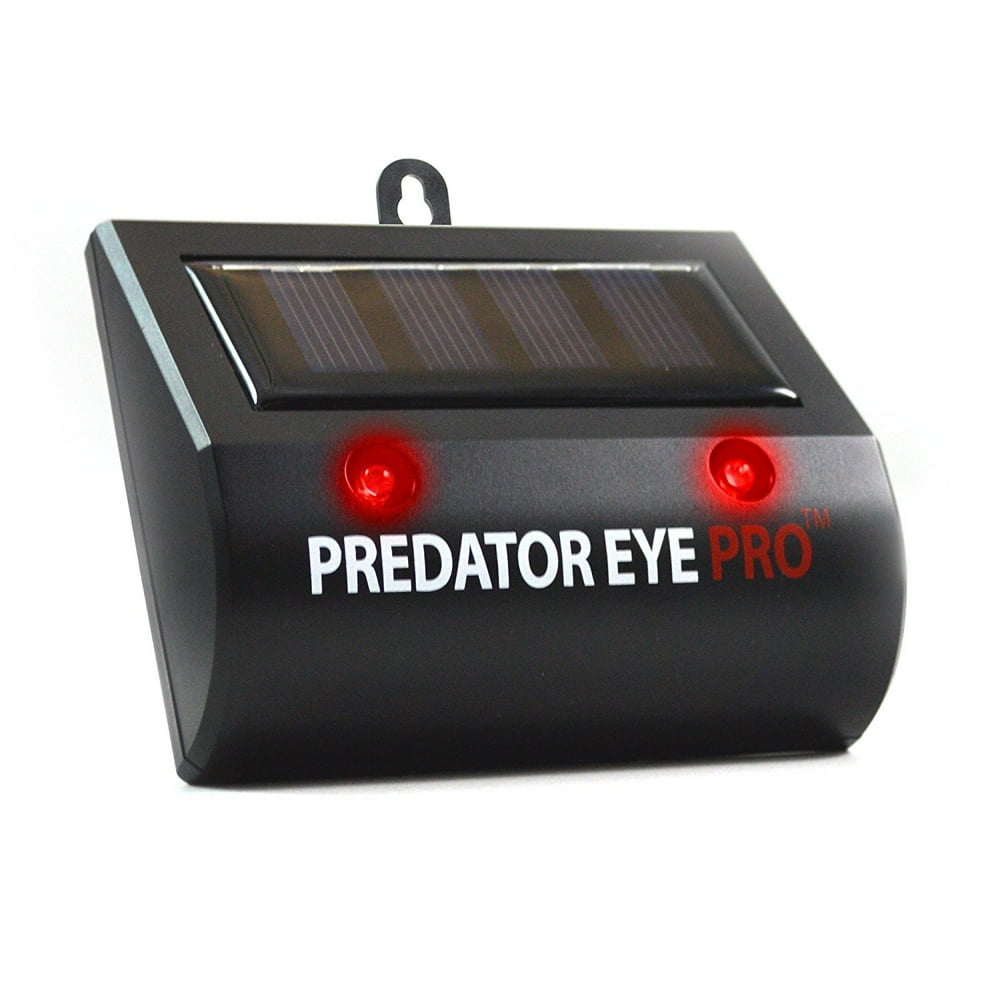Aspectek l 4600sq ft l Predator Eye PRO l Kick Stand Solar ...