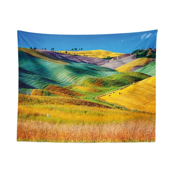 Science Tapestry, Cartoon Illustrated Chart of Animals of The World and Compass on Plain Backdrop, Fabric Wall Hanging Decor for Bedroom Living Room Dorm, 2 Sizes, Multicolor, by Ambesonne