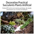 thumbnail image 4 of Mini suculentas decorativas Toystoory 10 piezas plantas artificiales tipo 14, 4 of 6