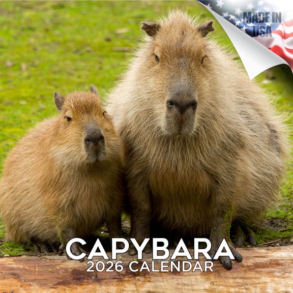2025 2026 Capybara - Wildlife Monthly Wall Calendar - 12 x 24 Open - Thick No-Bleed Paper - Giftable - Academic Teacher's Planner Calendar Organizing & Planning - Made in USA