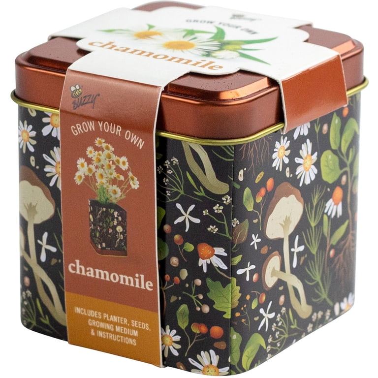 Buzzy Chamomile Herb Grow Kit With Decorative Floral Tin Item