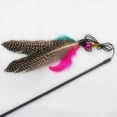 thumbnail image 4 of Pet Cat Interactive Exercise Toy for Solving Boredom Tease Cat Wand Toy with Colorful Feather Head, 4 of 7