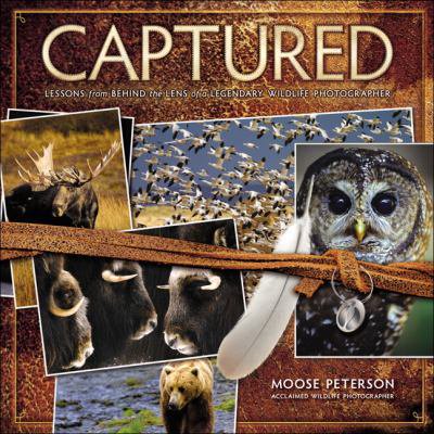 Pre-Owned Captured: Lessons from Behind the Lens of a Legendary Wildlife Photographer (Paperback) by Moose Peterson