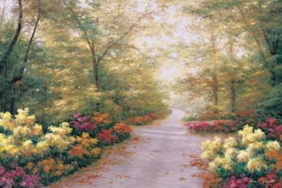 September Song Canv